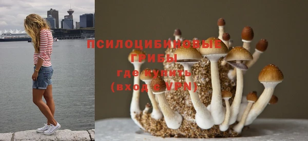 скорость Гусиноозёрск