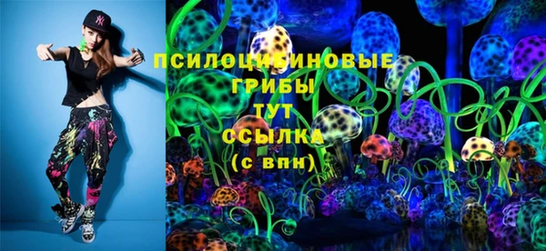 стаф Дмитриев