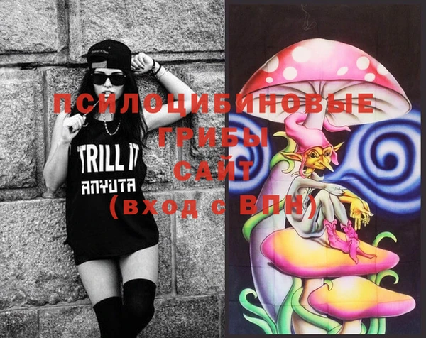 сатива Яровое