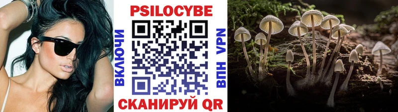 Купить где  Североуральск  Галлюциногенные грибы Cubensis 